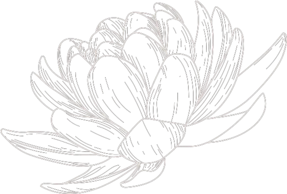  Digestion Best Water Lilies Png Blood Circulation Icon