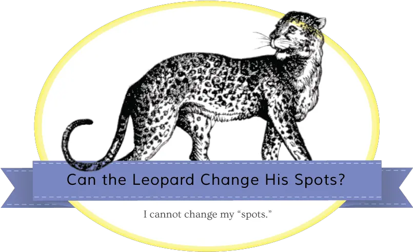  Leopard Spots Png Jaguarbanner Cheetah 827489 Vippng Dot Cheetah Transparent