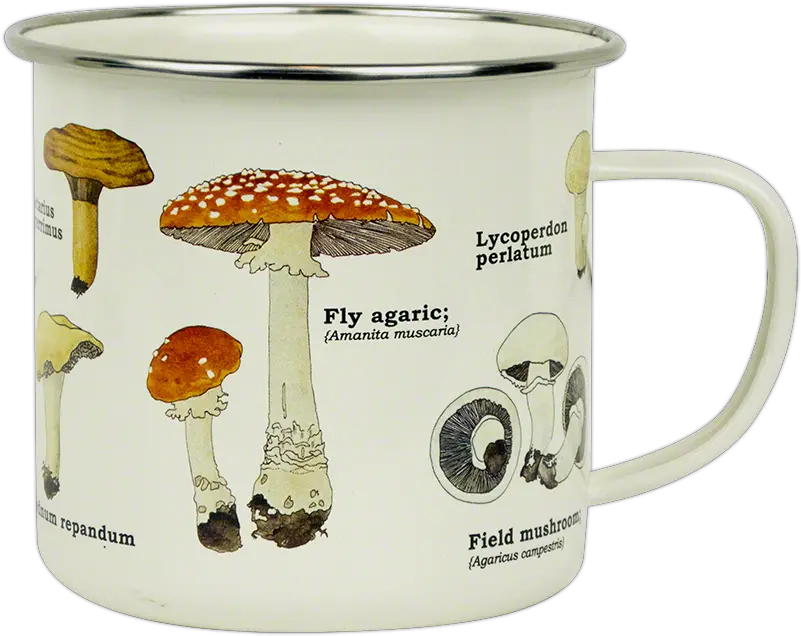  Mushroom Print Enameled Cup Fungi Mushroom Enamel Mug Png Mushroom Transparent