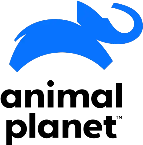  Advertise Animal Planet New Logo Png Animal Planet Logo Png