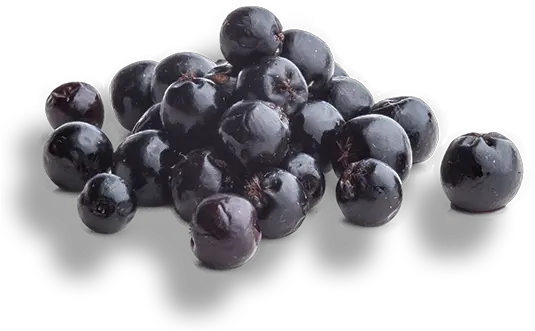  Aronia Source Of Healthy Antioxidants Berryactives Superfood Png Berry Png