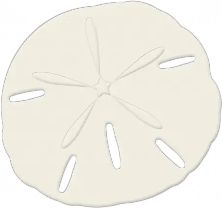  Sand Dollar 01 Graphic Sand Dollar Png Sand Dollar Png