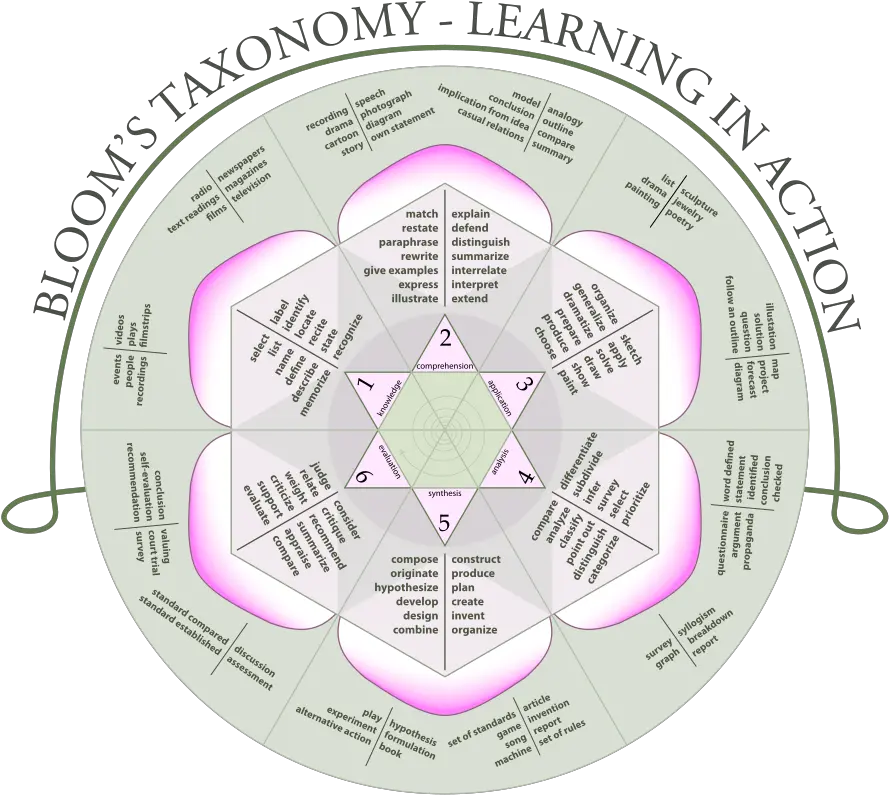  Fileblooms Rosesvg Wikimedia Commons Taxonomy Rose Png Rose Outline Png