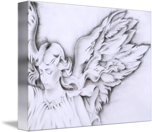  Angel Wings By Angel Wings Out Drawing Png Angels Wings Png