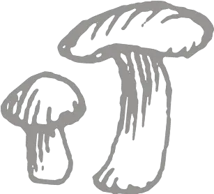  Icon Wild Mushroom Png Mushroom Icon