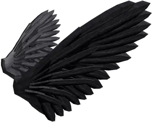  Commander Crows Wings Crow Wings Png Bird Wings Png