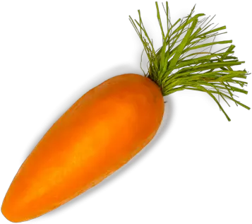  Carrot Transparent Background Single Carrot Png Carrot Transparent Background