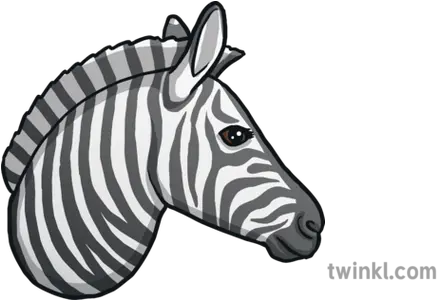  Zebra Emoji Animals Nature Twinkl Zebra Print Png Emoji Animals Png