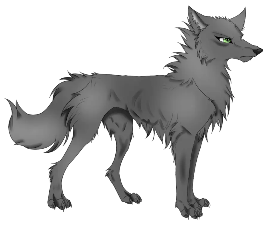  Download Cartoon Wolf Png Image Royalty Transparent Cartoon Wolf Png Wolf Png