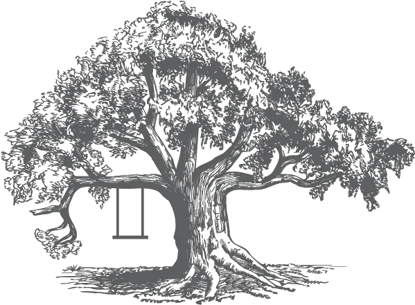  Tree Illustration Sycamore Tree Sketch Png Tree Illustration Png