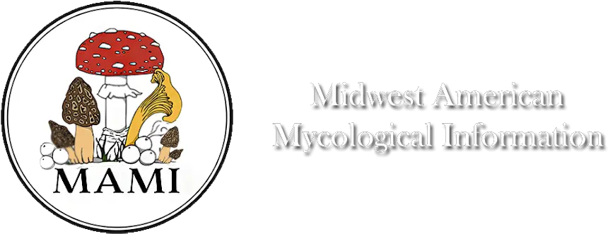  Midwest American Mycological Information U2013 Wild Foraged Png Mushroom Logo