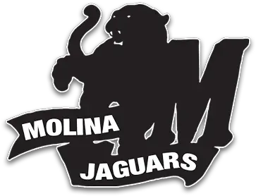  Molina Jaguars Football Sportsdayhscom Silhouette Png Jaguars Logo Png