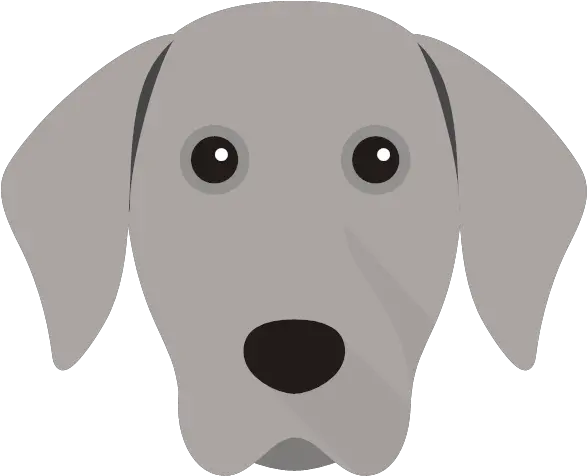  Weimaraner Png Kim Harrold For Skye Weimaraner Dog Skye Png