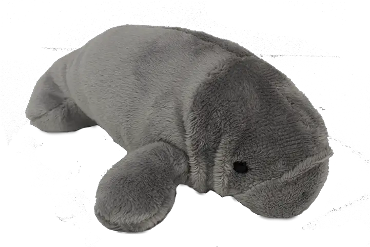  Manatee Transparent Png Image Manatee Logo Transparent Background Manatee Png