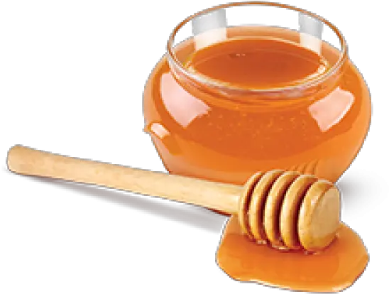  Honey Png Free Image Download 36 Honey Honey Png