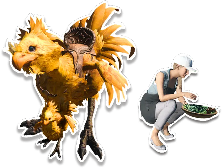  Final Fantasy Xv Gets Chocobotastic Images Wallpapers And Icons Final Fantasy Xv Chocobo Png Final Fantasy 15 Logo Png