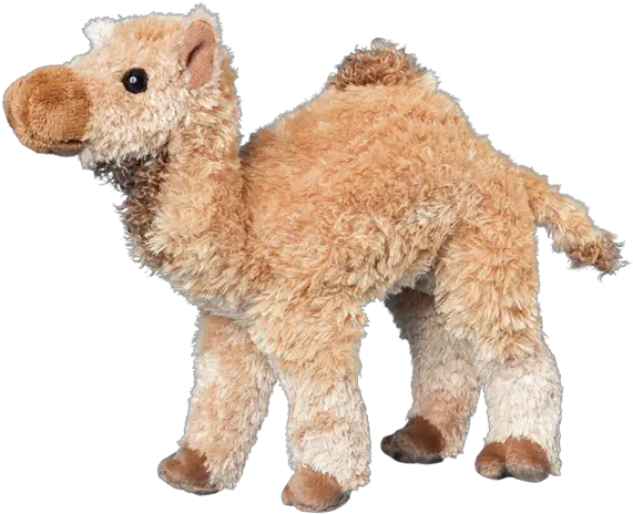  Douglas Lawrence Camel Toy Camel Png Camel Transparent