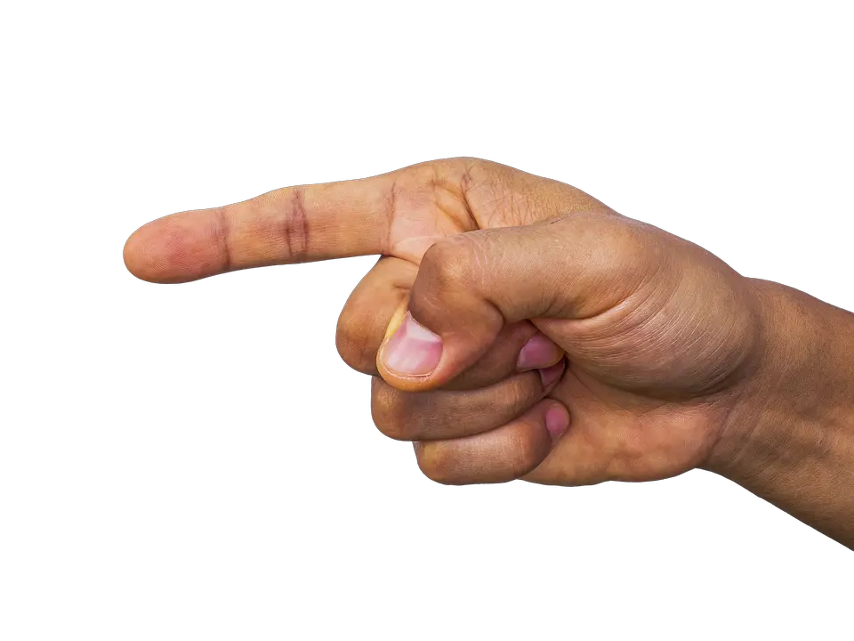  200 Free Pointing Hand U0026 Finger Images Pixabay Because I Said No Png Hand Transparent