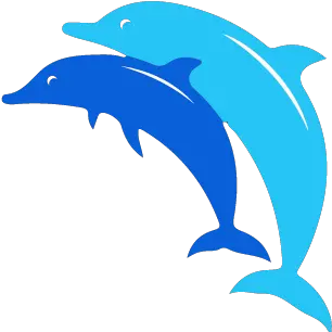  Aqua Divers A Dahab All Inone Scuba Diving Center And Common Bottlenose Dolphin Png Dolphin Browser Icon Png