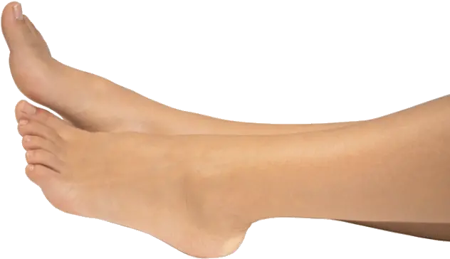  Leg Png Picture Leg And Foot Png Leg Transparent