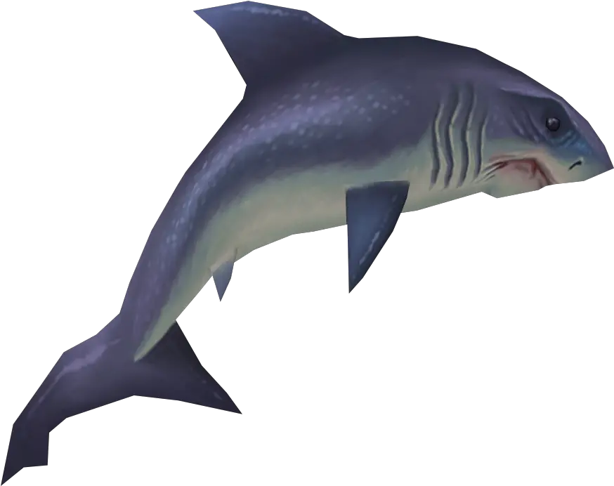  Raw Great White Shark Runescape Great White Shark Png Shark Png