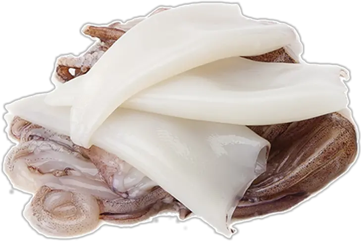  Download Transparent Squid Png Grasa Animal Png Png Chocolate Squid Png