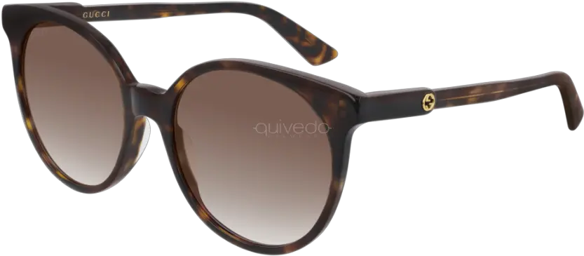  Gucci Logo Gg0488s Muske Naocare Za Sunce Png Gucci Logo