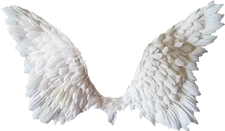  Transparent Angel Wings Ailes D Ange Png Angel Halo Transparent Background