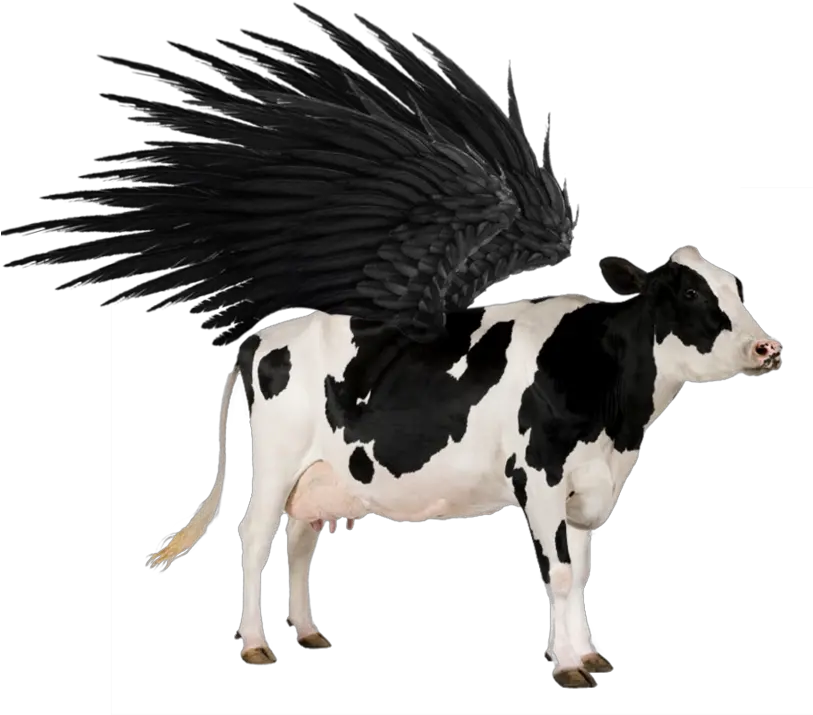  Flying Cow Png 5 Image Animal Cow Cow Transparent