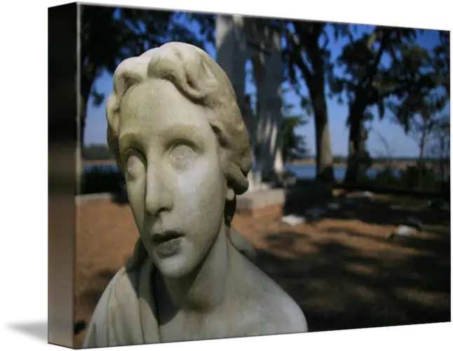  Stone Cold Gaze By Matt Worrell Classical Sculpture Png Stone Cold Png