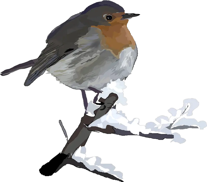  European Robin Transparent Images Png Winter Birds Clip Art Robin Transparent