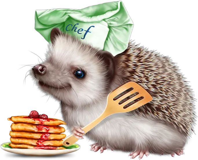  Download 6314590 Hedgehog And Pancakes12 Tube Hedgehog With A Pancake Png Hedgehog Transparent