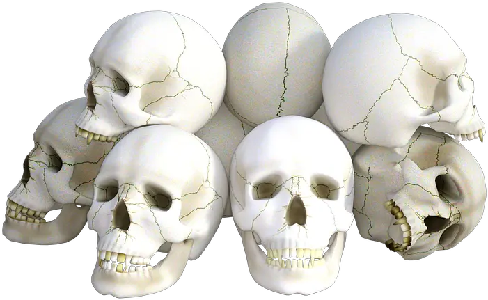  Skulls Horror Death Free Image On Pixabay Cranios Png Horror Png