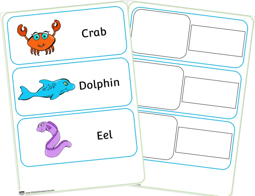  Sea Animals Printable Early Years Sea Animals Words Png Under The Sea Png