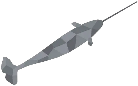 Narwhal T Shirt Designs Graphics More Fish Png Narwhal Icon