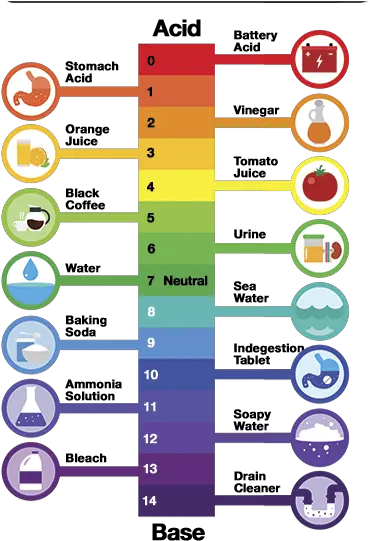  What Is Ph And How To Easily Test It In Your Aquarium Colour Ph Scale With Examples Png Fish Bowl Transparent Background