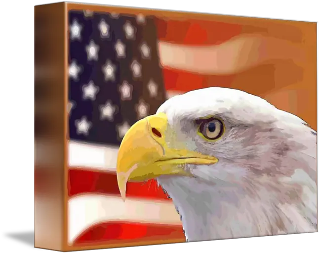  Usa Flag Eagle By Rogue Art American Png American Flag Eagle Png