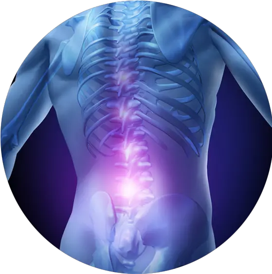  Low Back Pain Relief Fayetteville Nc Valley Physical Medicine Digital X Ray Body Png Pain Png