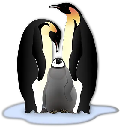  Fun Facts About Penguins Cool Australia Emperor Penguin Clipart Png Penguin Transparent Background