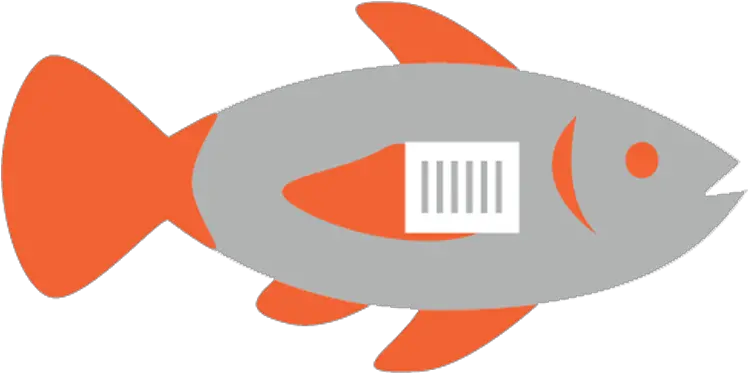  Traceability Seafood Fish Png Fish Icon Vector