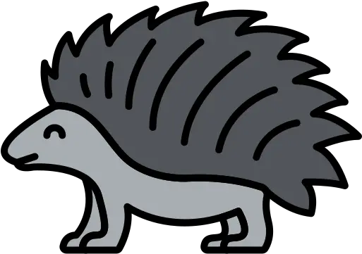  Porcupine Reptile Png Porcupine Png