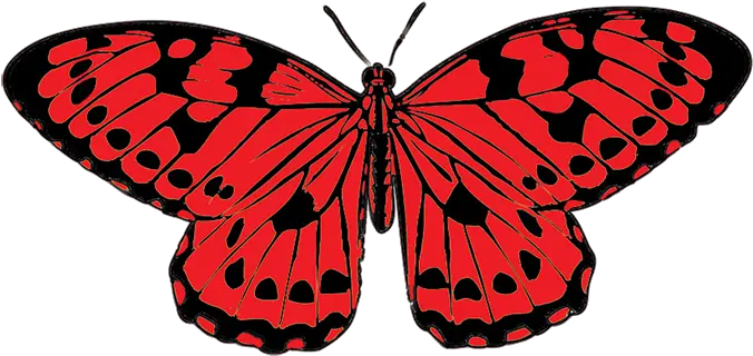  Red And Black Butterfly Png Transparent Red Butterfly Clipart Butterfly Png Clipart