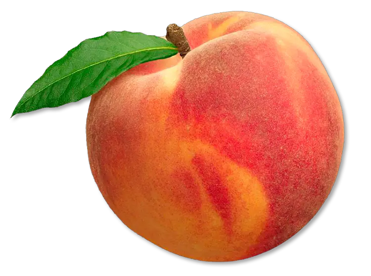  Transparent Peach Png Peach Fruit Peach Transparent Background