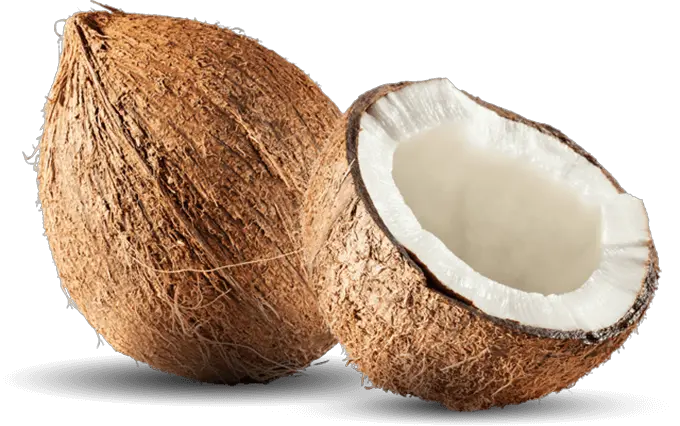  Coconut Png File Download Free Spell Coconut With Your Waist Meaning Coconut Png