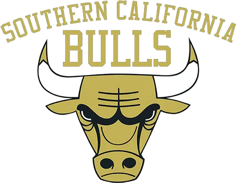  Socal Bulls Lacrosse Socal Bulls Lacrosse Logo Png Bulls Logo Png