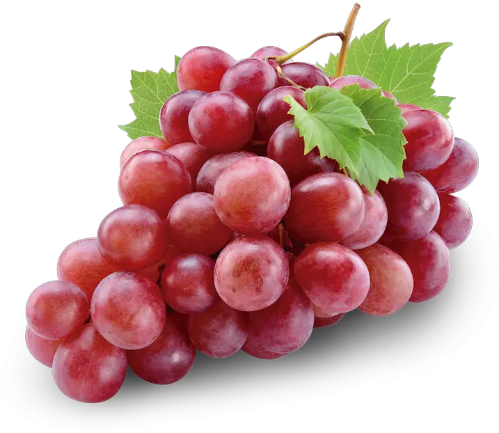  Download Grapes Transparent Flame Red Grapes Png Image Grapes Red Globe Grapes Png