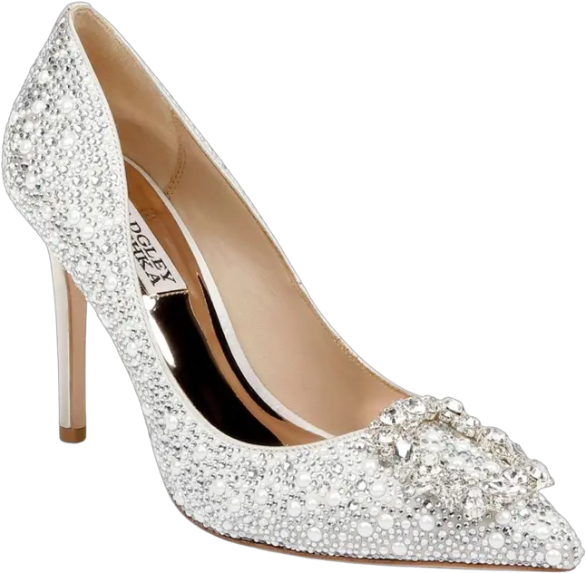  Womenu0027s Cher Ii Embellished Pumps Png Fashion Icon