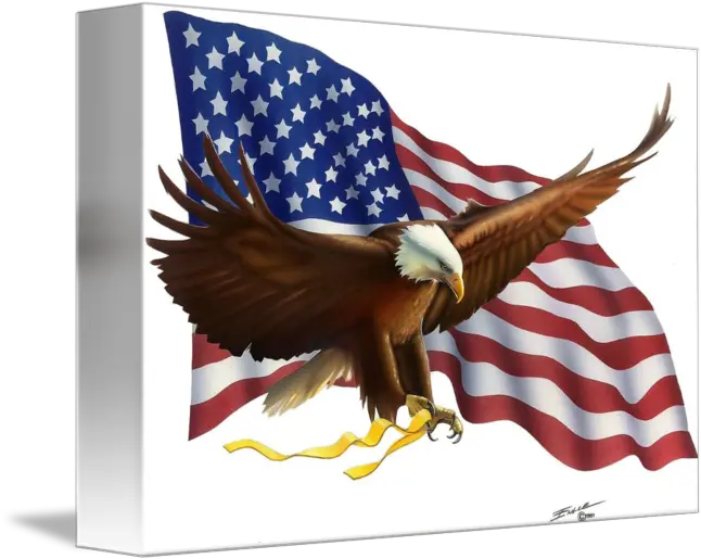  Eagle With Flag No Background By Bob Engle American Eagles Png Eagle Transparent Background