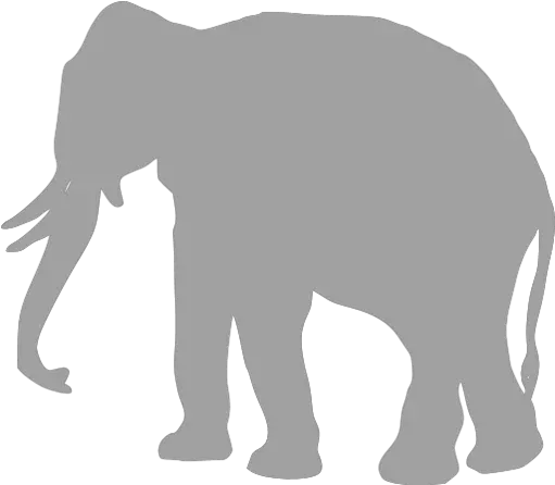  Elephant Icons Icon Png Elephant Icon