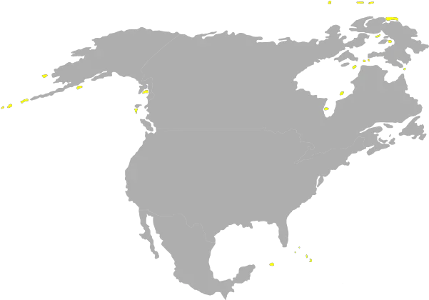  North America Sillouette Clip Art Map Png North America Transparent